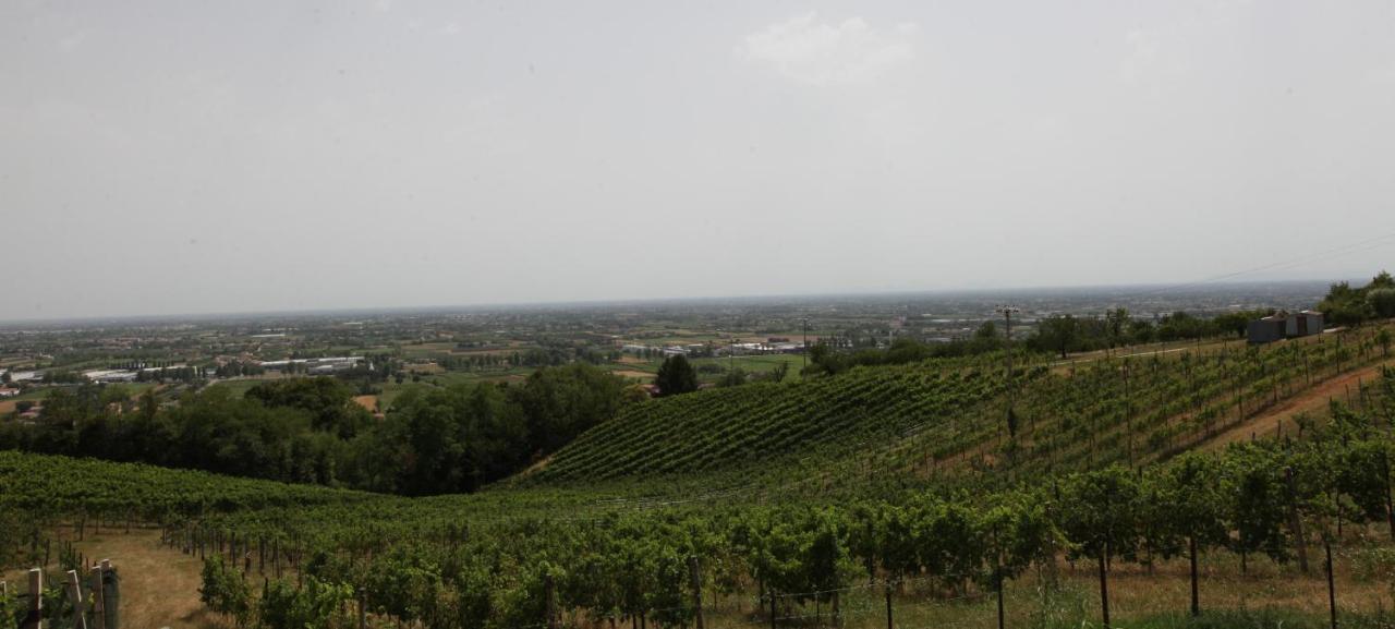 Terrazza San Vettore Camere Con Colazione, Relax In Collina Con Vista Sui Vigneti Docg Asolo Maser Exterior foto