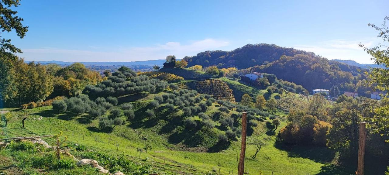 Terrazza San Vettore Camere Con Colazione, Relax In Collina Con Vista Sui Vigneti Docg Asolo Maser Exterior foto